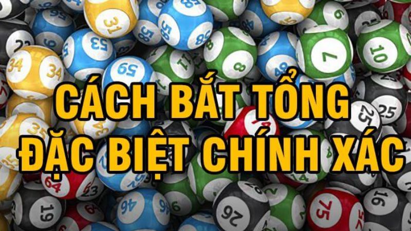 Phương pháp xác suất được áp dụng rộng rãi trong việc soi tổng đề